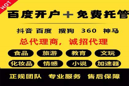 某行业巨头托管竞价sem的胜利之路