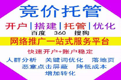 SEM推广代运营公司：实战案例解析